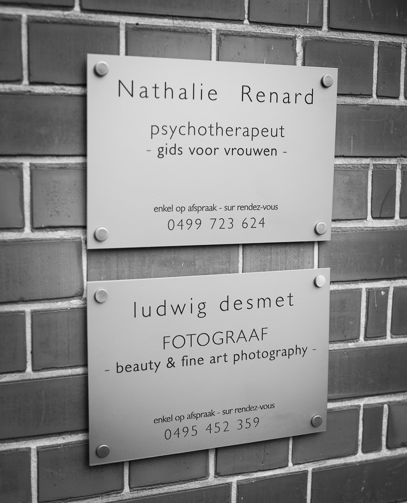 Ludwig Desmet therapy